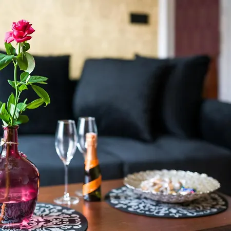 Apartment Malila Premium Lubicz 14